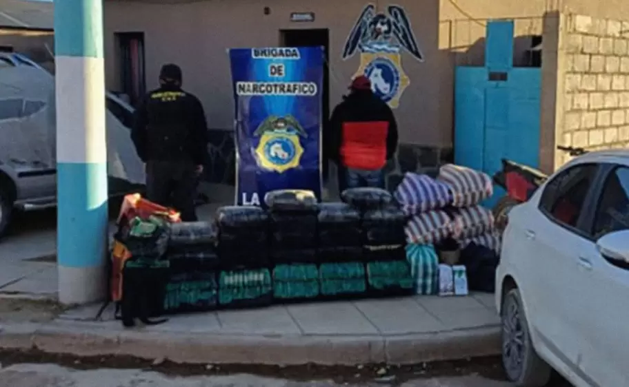 Secuestraron ms de 300 kilos de hojas de coca en Jujuy