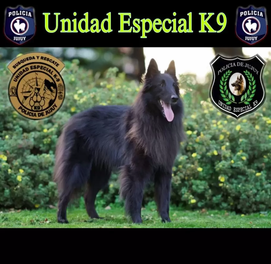 Con ayuda del can Leo, hallaron el cuerpo de un hombre que era intensamente buscado en La Quiaca