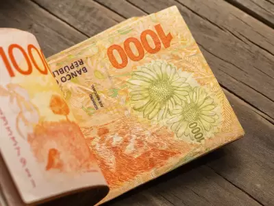 plata billetes dinero