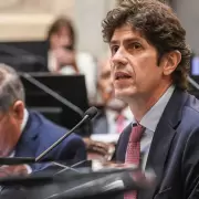 La Unión Cívica Radical fijó fecha para definir al sucesor de Martín Lousteau