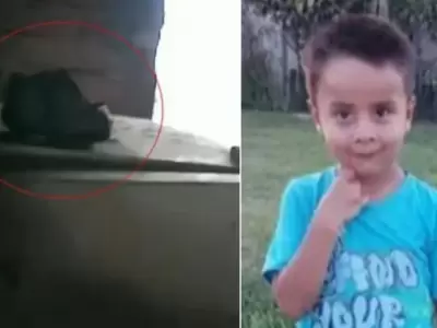 zapatilla