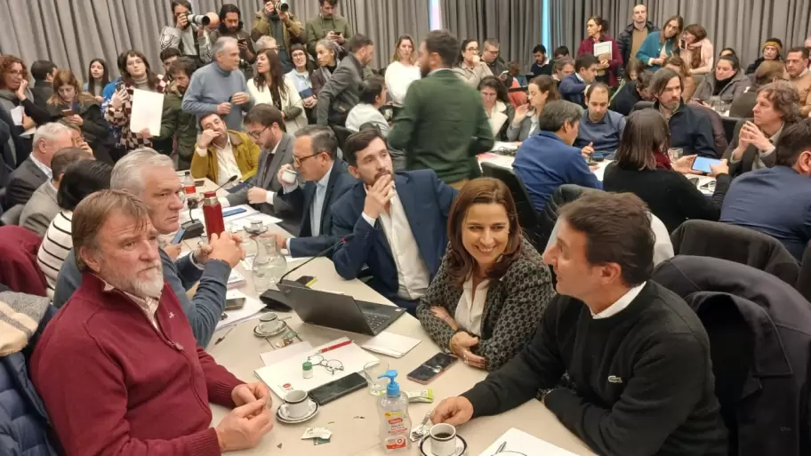 Jorge Rizzotti en el plenario de comisiones