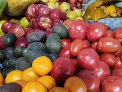verduras - frutas