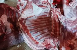 carne de llama y cordero