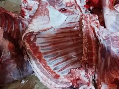 carne de llama y cordero