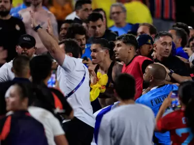 Serios incidentes tras la eliminaci�n de Uruguay: Darwin N��ez se pele� con hinchas colombianos en la tribuna