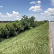 Un camionero rescat a un beb de 1 ao que llevaba dos das solo al costado de una ruta