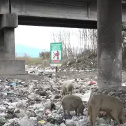 En Jujuy funcionan 14 c�maras para identificar a quienes arrojan basura en lugares prohibidos