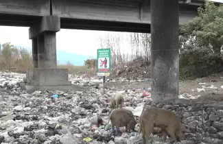 Basurales a cielo abierto en Jujuy: una problem�tica que contin�a expandi�ndose