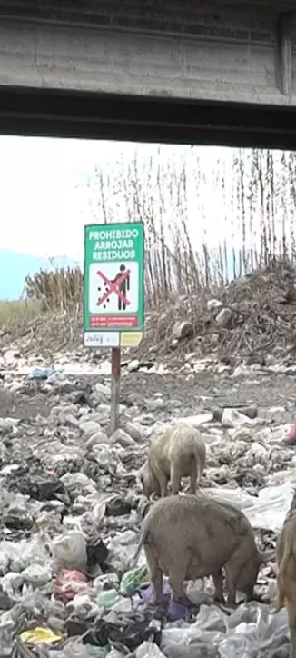 Basurales a cielo abierto en Jujuy: una problem�tica que contin�a expandi�ndose