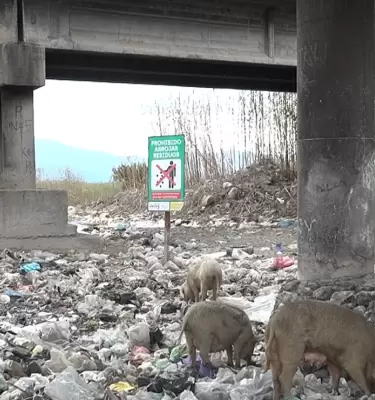 Basurales a cielo abierto en Jujuy: una problem�tica que contin�a expandi�ndose