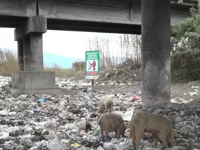 Basurales a cielo abierto en Jujuy: una problem�tica que contin�a expandi�ndose
