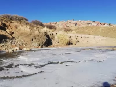 FRO EXTREMO EN LA QUIACA: RO TORO ARA CONGELADO (Foto: La Quiaca Al Da)