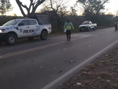 Otra vez caballos sueltos en rutas de Jujuy: un conductor impact� contra un equino