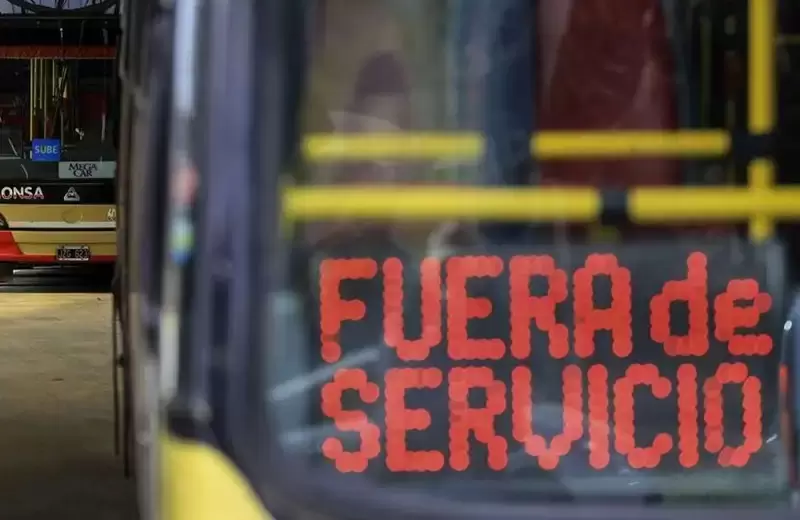 colectivo