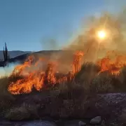 Registran ms de 80 incendios de vegetacin en lo que va del ao en Jujuy