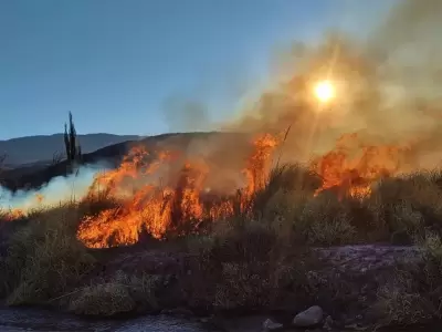 incendio de vegetacin Jujuy