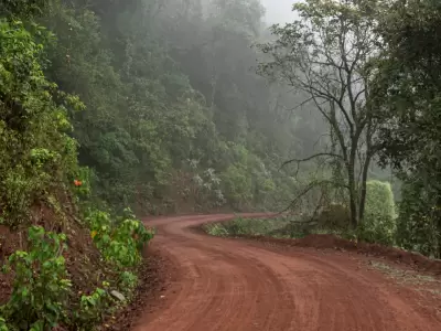 parque nacional calilegua