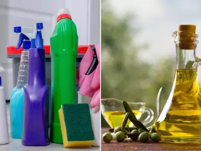Productos de limpieza y aceite