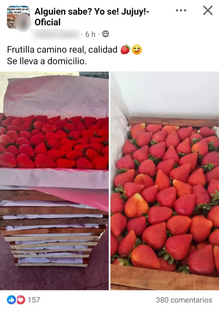 Venta de frutillas