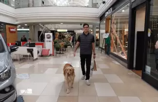 shopping-pet-friendly-