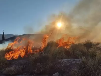 Incendio de vegetacin en Jujuy