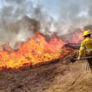 Preocupacin por los incendios forestales en Jujuy: en un da se registraron 13 focos gneos