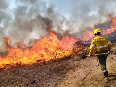 incendios en vegetacin Jujuy