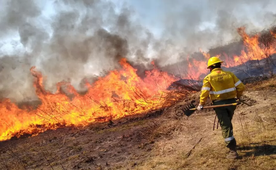 incendios en vegetacin Jujuy