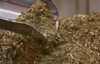 producci�n yerba mate