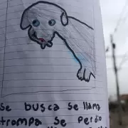 Un nio dibuj un cartel para encontrar a su perro perdido en Alto Comedero y lo logr