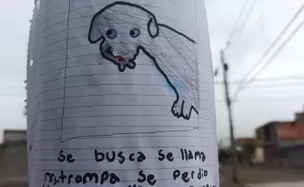 Dibuj a su perro