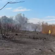 Un incendio de pastizales consumi 5 hectreas en El Carmen