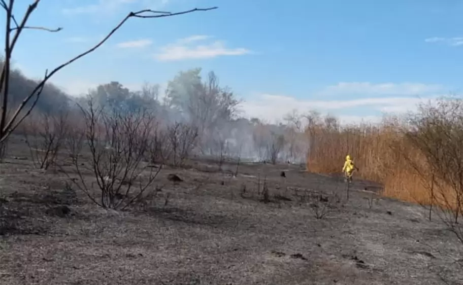 incendio de pastizales en Monterrico