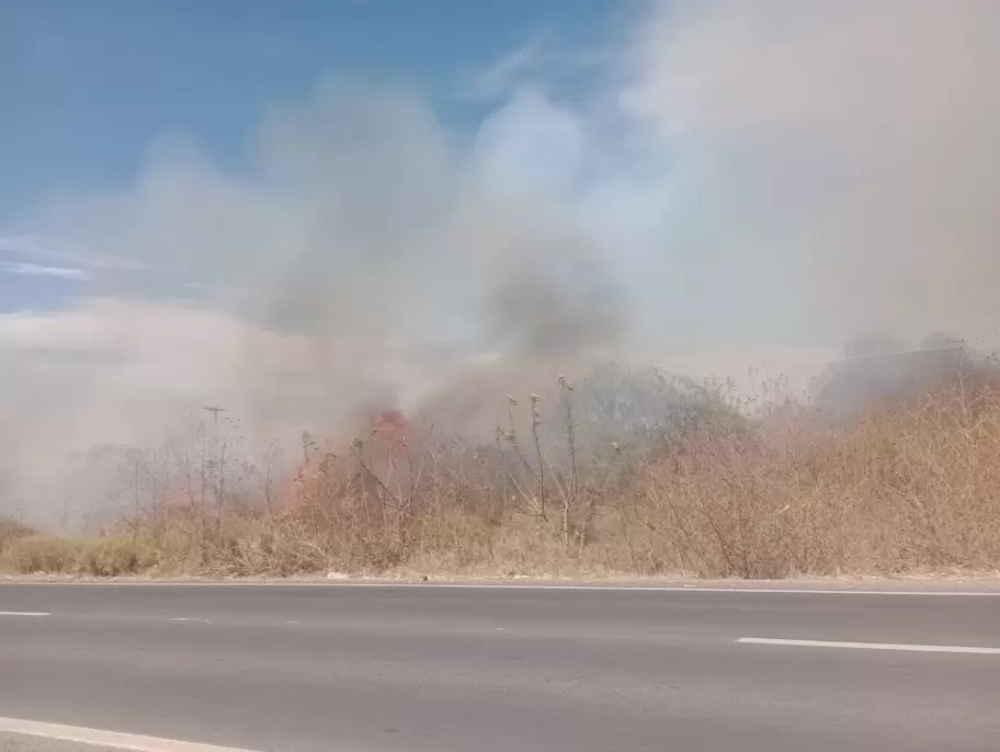 incendio de Pastizales en El Carmen