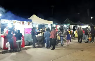 vendedores ambulantes ciudad cultural fne