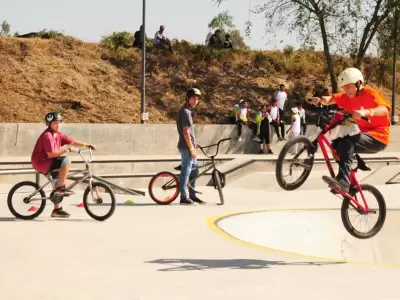 bmx