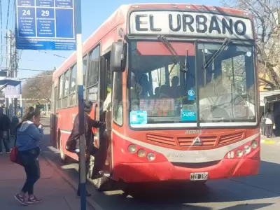 colectivo urbano