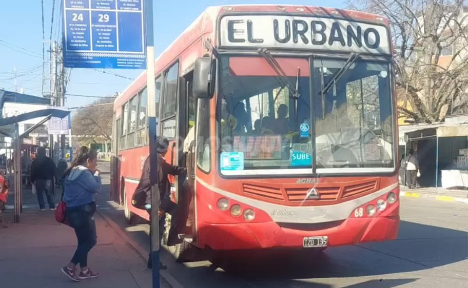 colectivo urbano