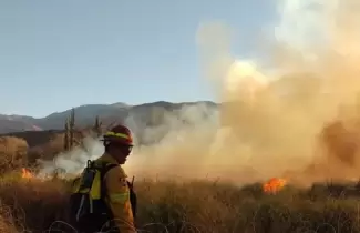 incendio forestal