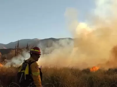 incendio forestal