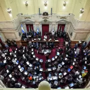 Se levantó el congelamiento salarial y los senadores pasarían a cobrar dietas que superan los $9 millones