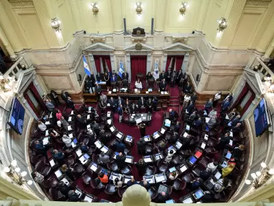 senado de la nacin