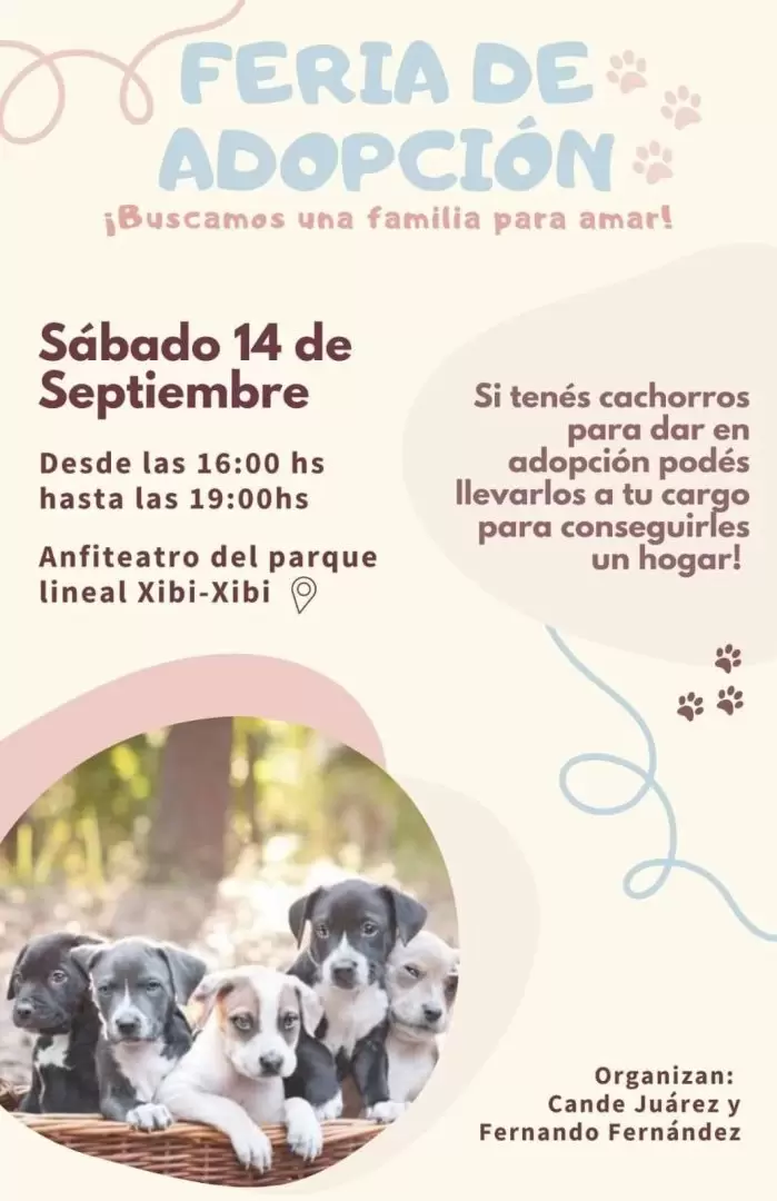 feria de adopcion