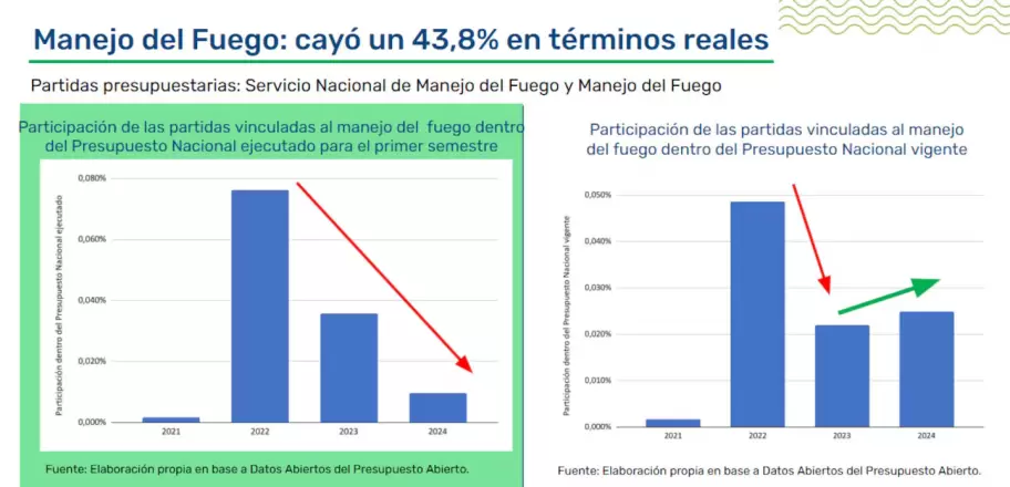 La partida presupuestaria para el manejo del fuego cay un 43,8%. (Foto: Monitor Ambiental del Presupuesto / FARN)