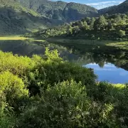 Presupuesto 2025: el Gobierno asign el nmero ms bajo de la historia para la proteccin de bosques nativos