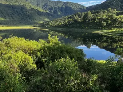 bosques nativos