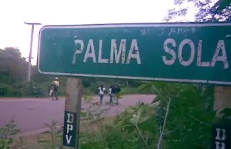 palma sola