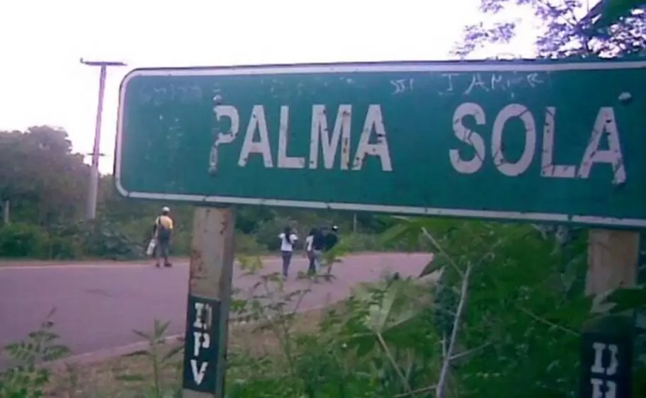 palma sola