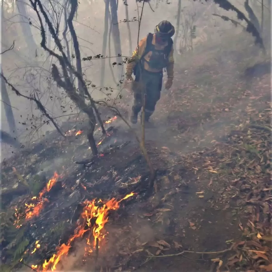 incendios forestales